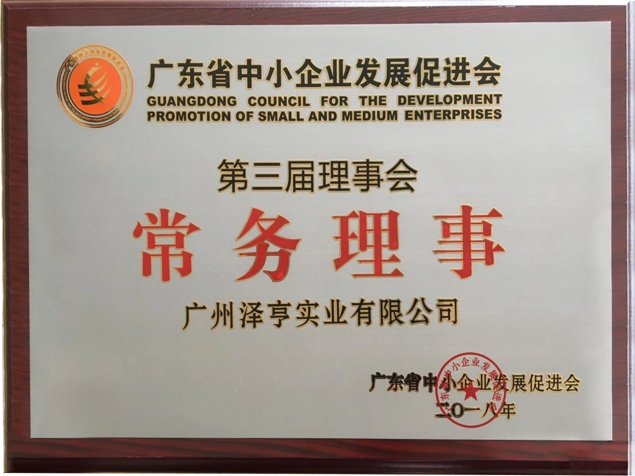 廣東(dōng)省中小(xiǎo)企業(yè)發展促進會(huì)常務理(lǐ)事(shì)